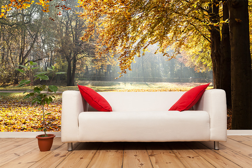 Fototapete Herbst