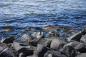 Preview: Fototapete Ostsee