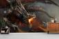 Preview: Fototapete Kampf mit Drache