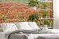 Preview: Fototapete Herbstwald