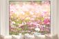Preview: Fensterfolie Kosmosblumen in Pink und Rosa – Bei Pixblick bestellen