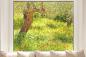 Preview: Fensterfolie mit Mohnblumen auf einer Wiese