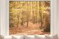 Preview: Fensterfolie Herbstwald im Querformat
