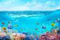 Preview: Selbstklebende Fensterfolie Fische im Meer