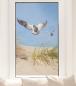 Preview: Fensterfolie im Hochformat – Möwen über Dünen