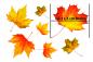 Preview: Herbstblätter Fenstersticker