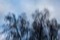 Preview: Fototapete abstrakte Bäume im Winter