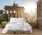 Preview: Fototapete Brandenburger Tor