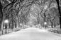 Mobile Preview: Vlies-Fototapete Weg im Central Park von New York im Winter