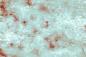Preview: Fototapete Grunge Design