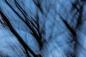 Preview: Fototapete abstrakter Baum Artwork