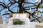 Preview: Fototapete kahler Baum