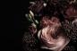 Preview: Florale-Fototapete mit einem Blumenstrauss vor schwarzem Hintergrund