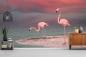 Preview: Fototapete Flamingos