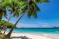 Preview: Fototapete Strand mit Palmen auf den Bahamas