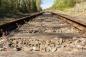 Preview: Fototapete alte Eisenbahnschienen