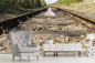 Preview: Fototapete alte Eisenbahnschienen