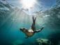 Preview: Fototapete Seerobbe unter Wasser