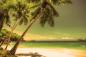 Preview: Fototapete 80er Jahre Palmenstrand im Retro-Look