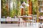 Preview: Fototapete Mammutbäume im Sequoia