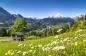 Mobile Preview: Fototapete Bayerische Alpen
