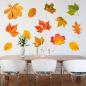 Preview: Wandtattoo mit Herbstblätter wie echt