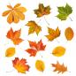 Preview: Wandaufkleber mit fotorealistischen Herbstblättern