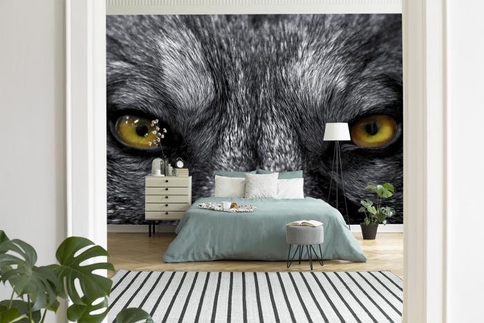 Fototapete Wolfsaugen