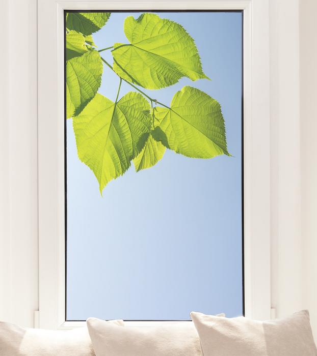 Fensterfolie mit grünen Blättern am Himmel im Hochformat
