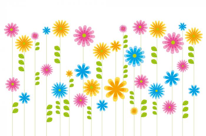 Selbstklebende Fensterfolie als Sichtschutz – Bunte Blumen