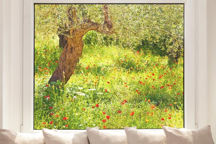 Fensterfolie mit Mohnblumen auf einer Wiese