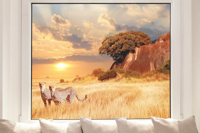 Fensterfolie Geparden in Afrika im Querformat