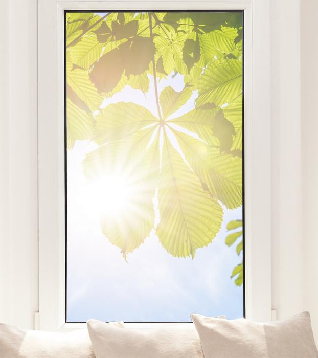 Fensterfolie im Hochformat – Kastanienblätter im Sonnenlicht