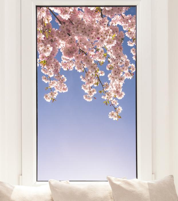 Fensterfolie Kirschblüte als Sichtschutz