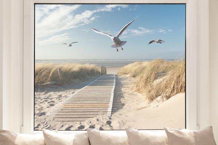 Fensterfolie Nordseestrand mit Möwen