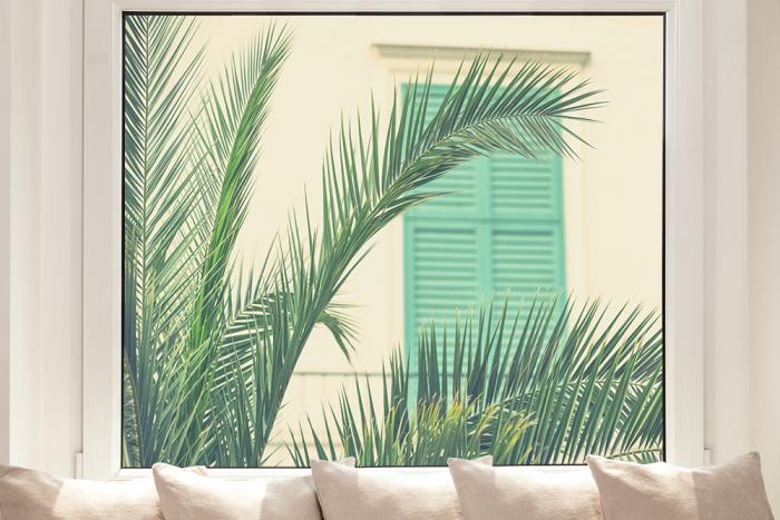 Fensterfolie mit Palmenblättern im Lounge-Look