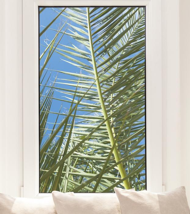 Fensterfolie mit einem Palmenblatt als Sichtschutz
