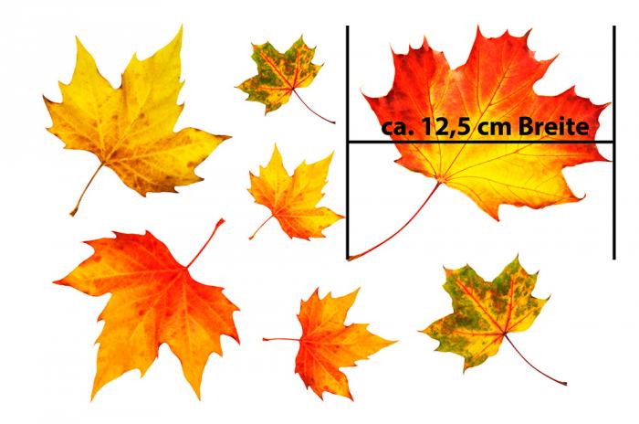 Herbstblätter Fenstersticker