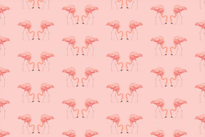 Fototapete mit einem Flamingo-Muster auf rosa Hintergrund