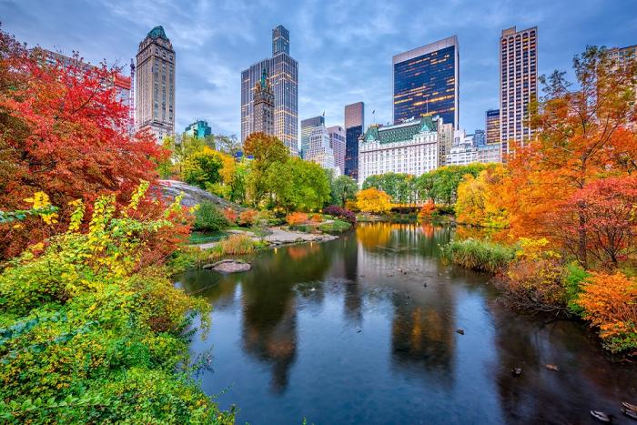 Fototapete New York Central Park