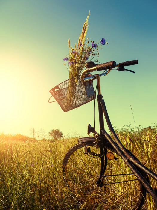 Fototapete Fahrrad in Landschaft