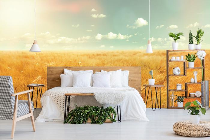 Fototapete Gerstefeld im Sommer im Vintage-Look