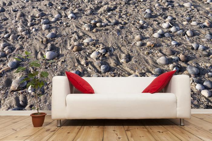 Fototapete Muscheln an der Nordsee