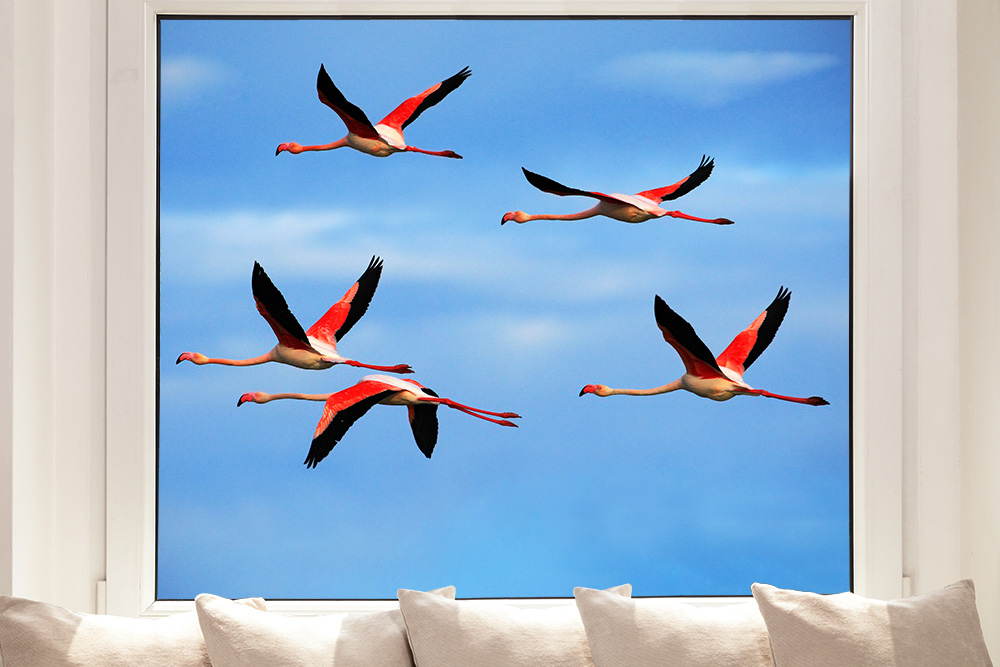 Online I Fensterfolie kaufen! Flamingos