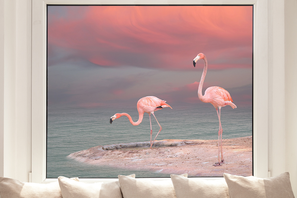 Fensterfolie Flamingos I am See Online kaufen!