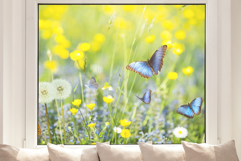 Fensterfolie Schmetterlinge I Online bestellen