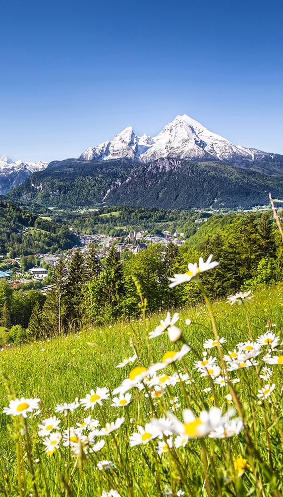 Fensterfolie Alpen mit Blumen I Online kaufen!