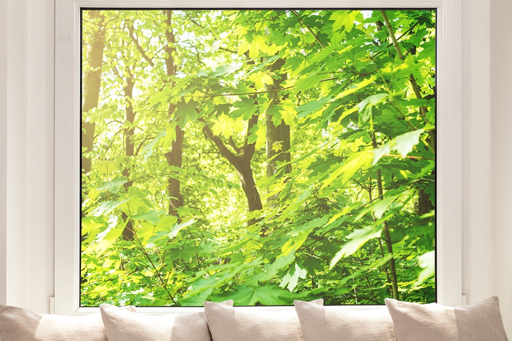 Fensterfolie kaufen! I Online Wald grüne im Blätter