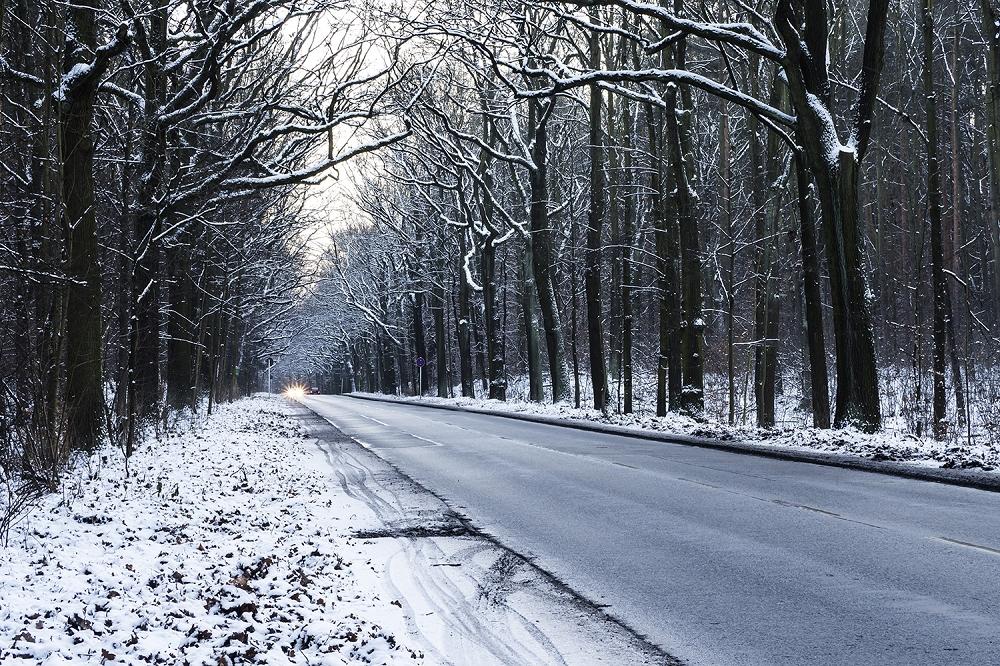 Fototapete Waldstraße