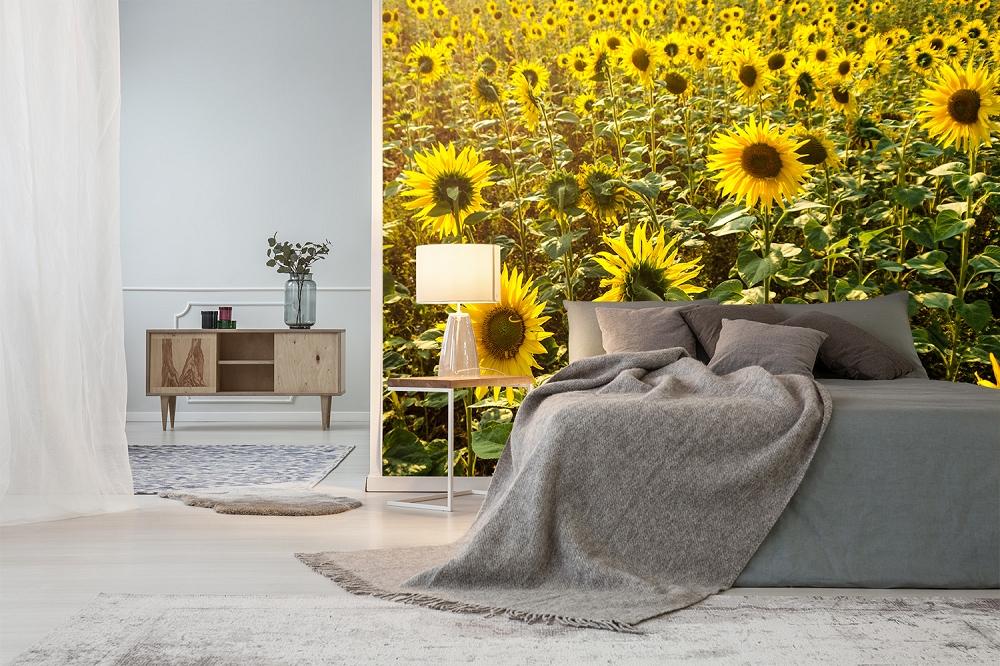 Fototapete Sonnenblumen